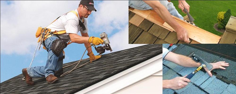 Roof Repair Specialists