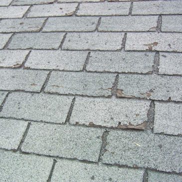 Six warning signs that you may need a new roof